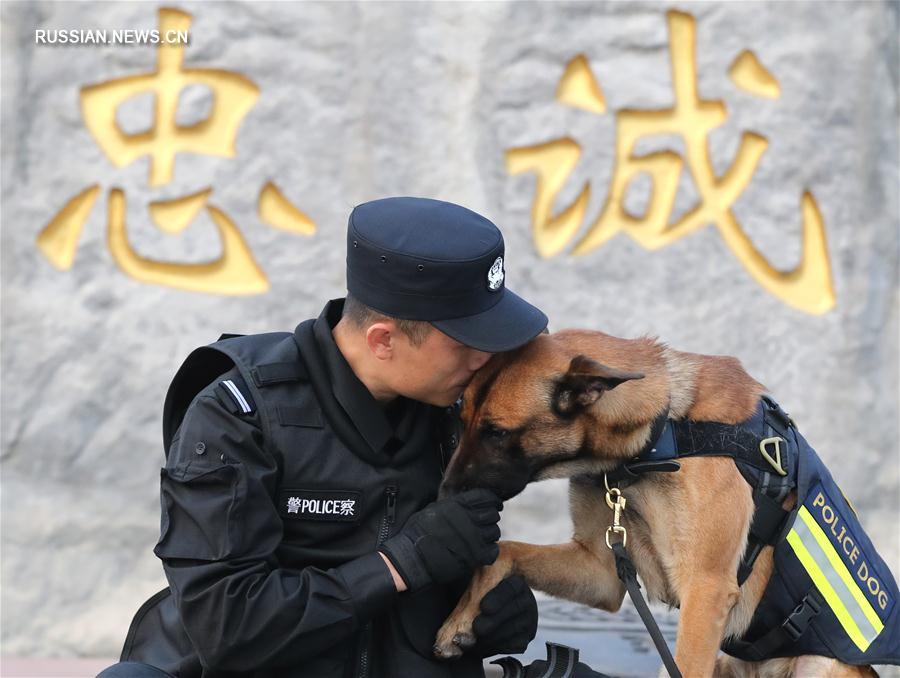 Пекинский отряд полицейских собак