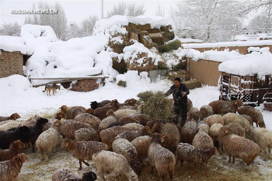 Сильнейшие снегопады обрушились на округ Алтай на северо-западе Китая