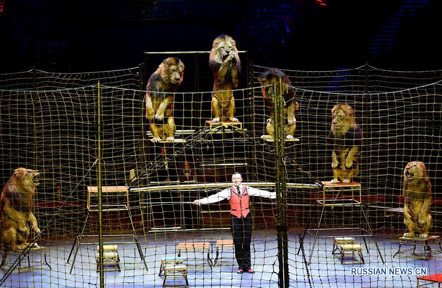 В Чжухае стартовал 3-й Международный фестиваль циркового искусства