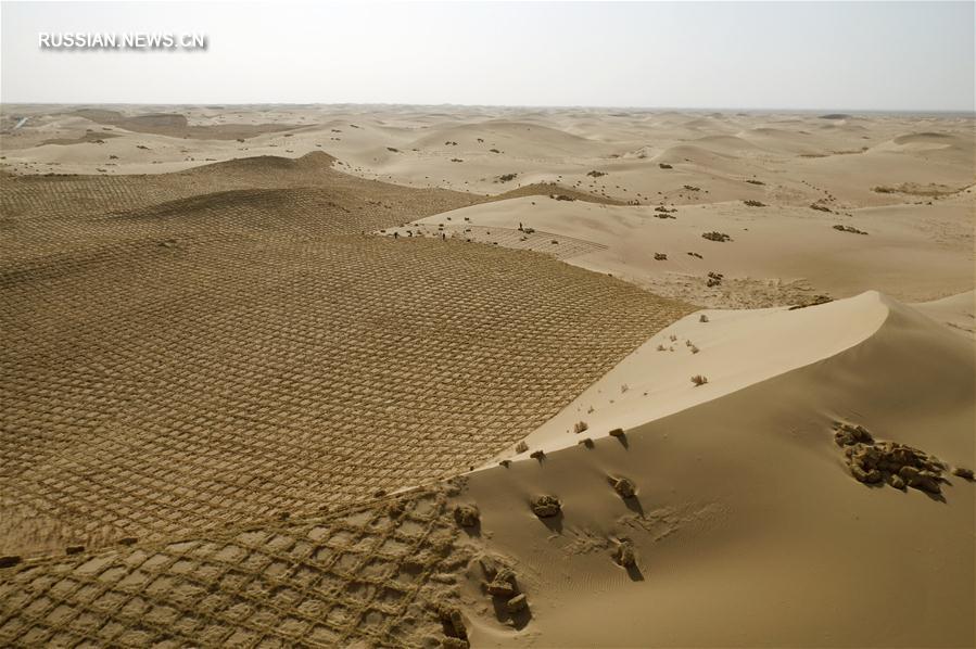 В провинции Ганьсу создают "пятисоткилометровую лесополосу в пустыне"