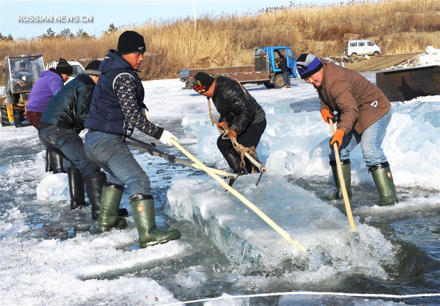 Сбор речного льда для парка "Мир льда и снега" в Харбине