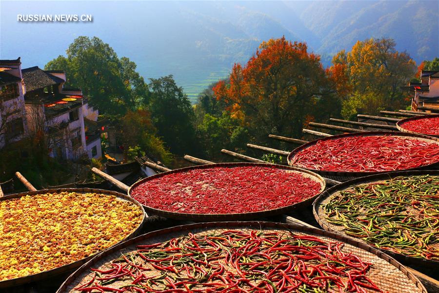Осенний пейзаж в уезде Уюань