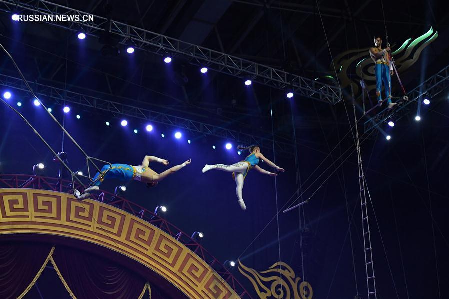 Классическое цирковое представление на III Китайском фестивале акробатического искусства в Лояне
