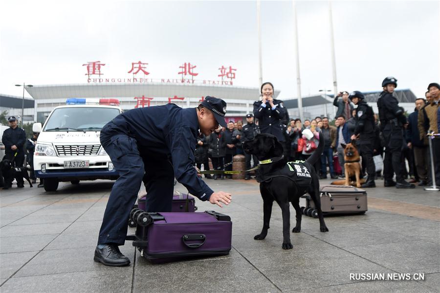（社会）（1）警犬助阵重庆铁路春运