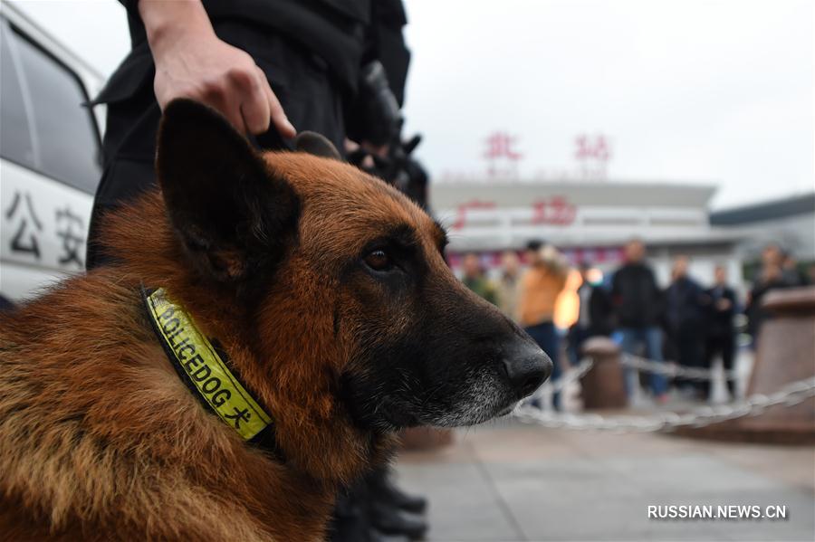 （社会）（2）警犬助阵重庆铁路春运