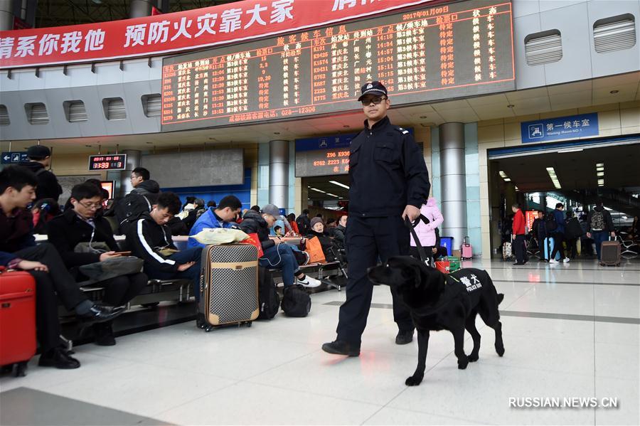 （社会）（7）警犬助阵重庆铁路春运