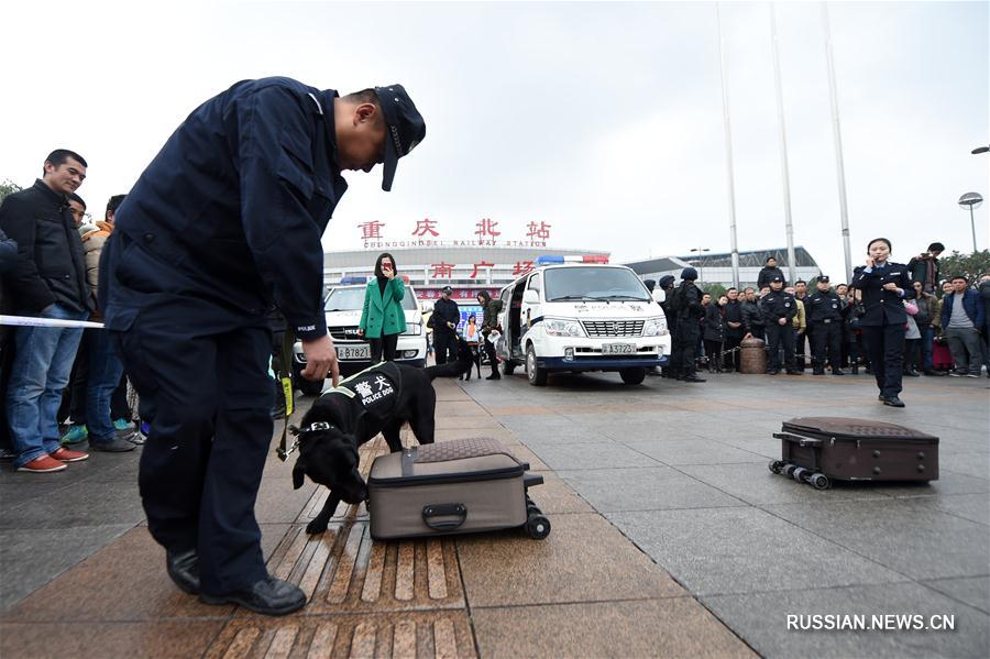 （社会）（8）警犬助阵重庆铁路春运