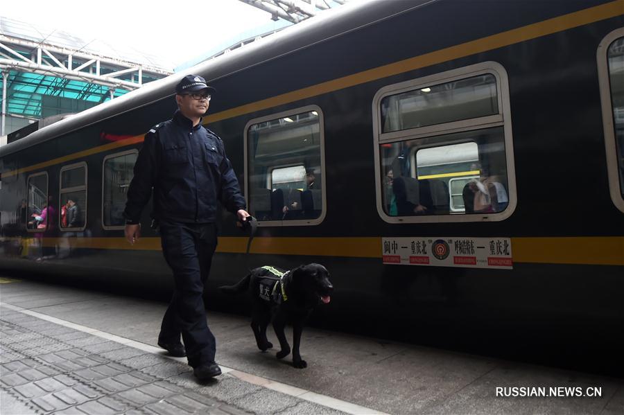 （社会）（9）警犬助阵重庆铁路春运