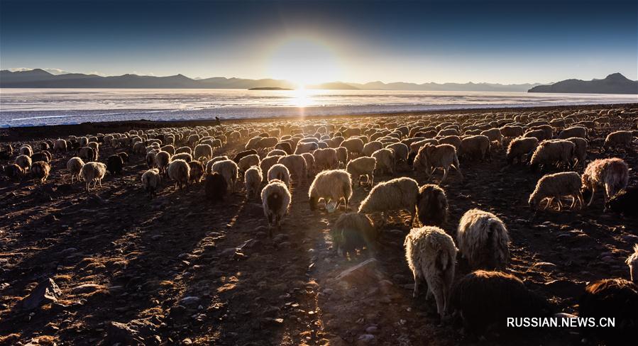 У замерзшего озера Пума-Юмцо на Тибете