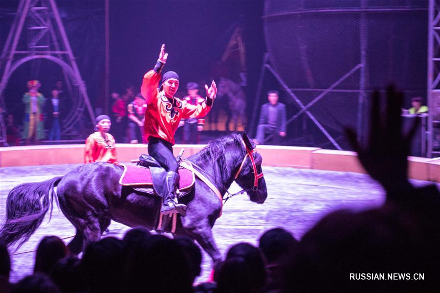 Фестиваль фигурных фонарей в Чунцине