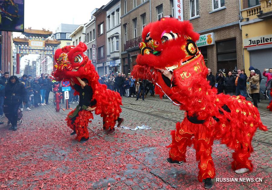 Танцы львов в китайском квартале Антверпена 