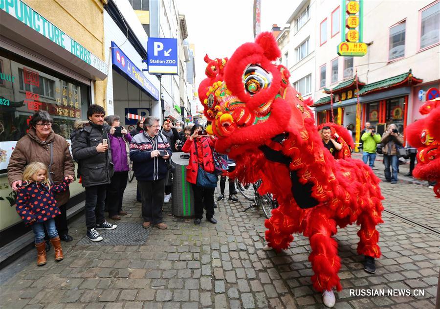 Танцы львов в китайском квартале Антверпена 