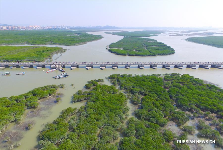 Водно-болотные угодья провинции Фуцзянь 