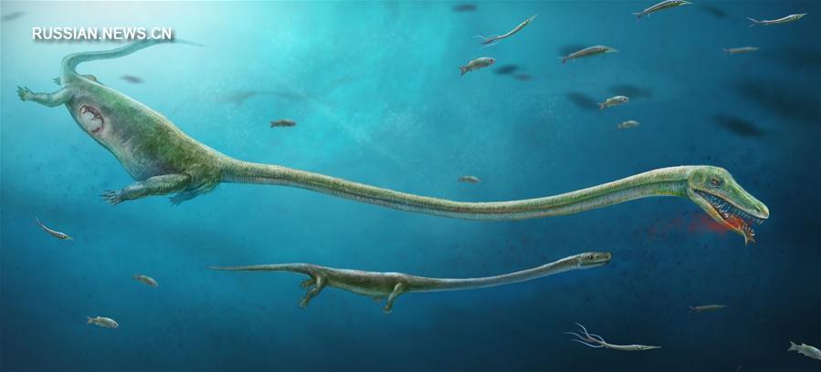 Ученые нашли подтверждение, что диноцефалозавры были живородящими