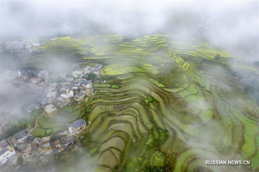 Волшебные туманы в горах Гуйчжоу 