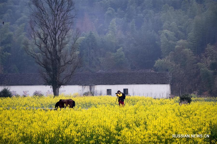 Весна на юге провинции Аньхой