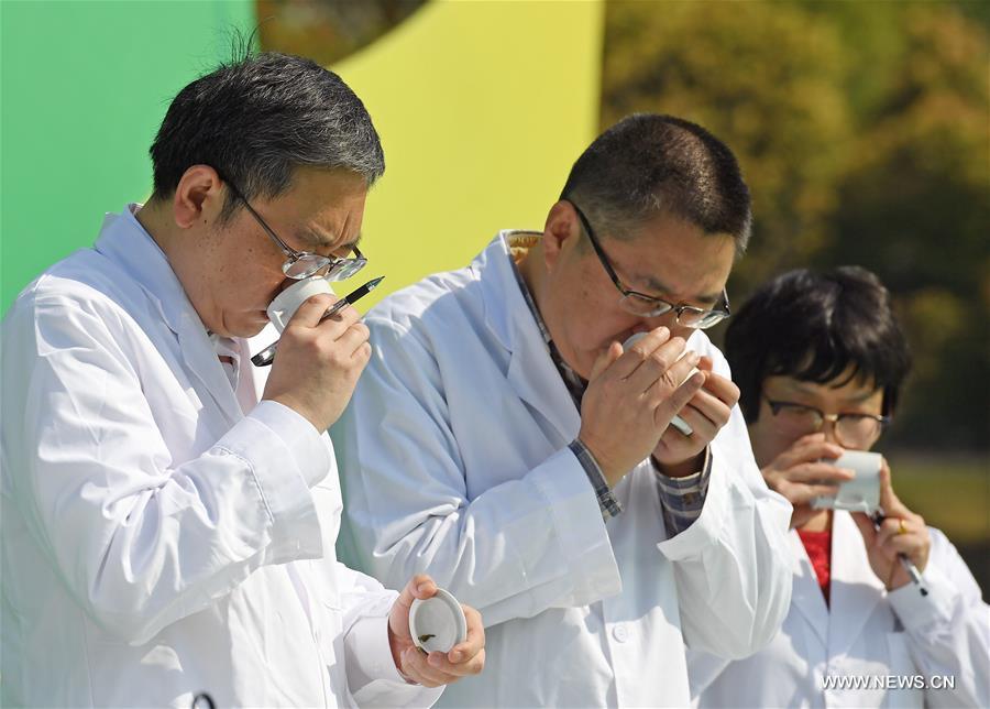 В Чунцине начался конкурс на качество чайных листьев сорта "Юнчуань Сюя"