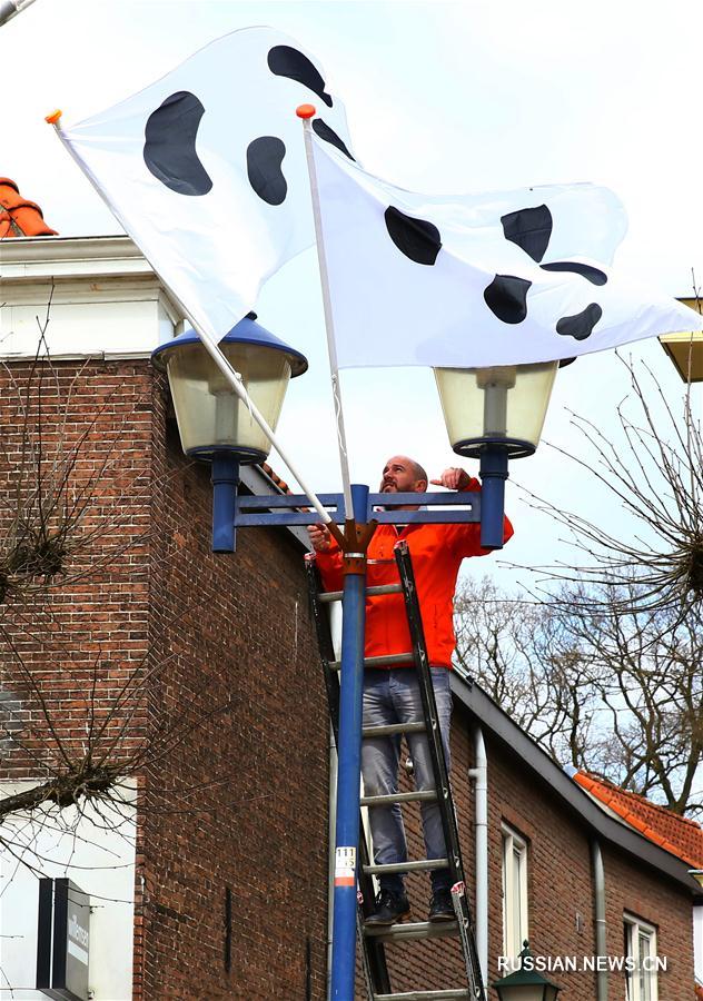 В нидерландском городе Ренен - бум больших панд