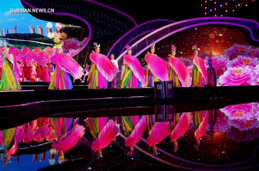 В Центральном Китае открылся фестиваль пионов