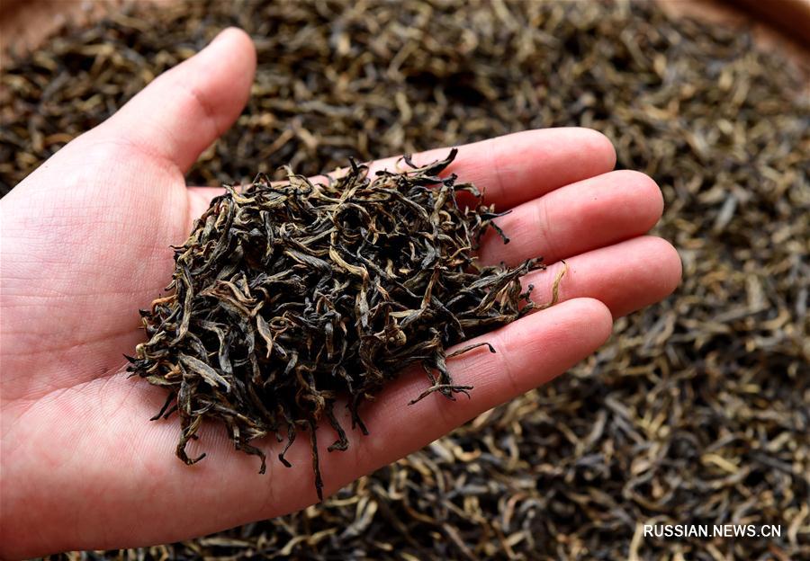 Секреты производства красного чая "Цзиньцзюньмэй"