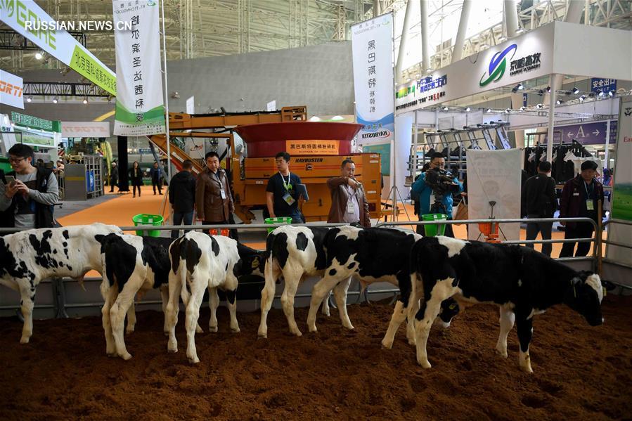 В Харбине открылся международный форум молочной промышленности