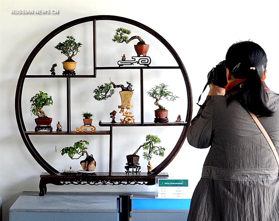 В городе Сучжоу открылась выставка цветочных горшков с искусственным миниатюрным  пейзажем