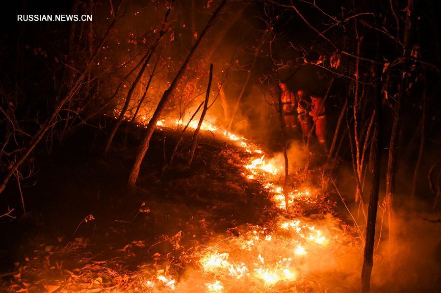 Внутренняя Монголия продолжает бороться с лесными пожарами