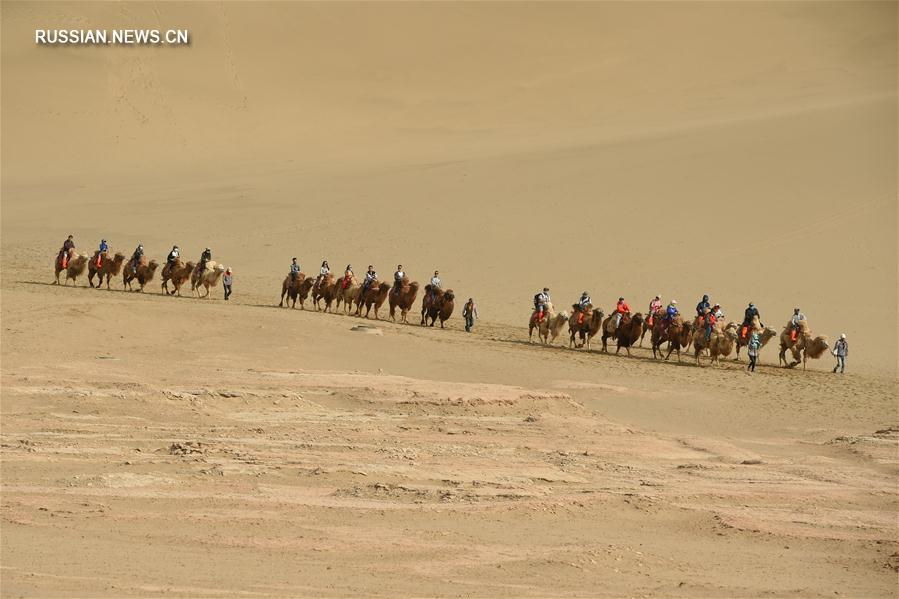 На верблюдах по пустыне -- Туризм в Дуньхуане