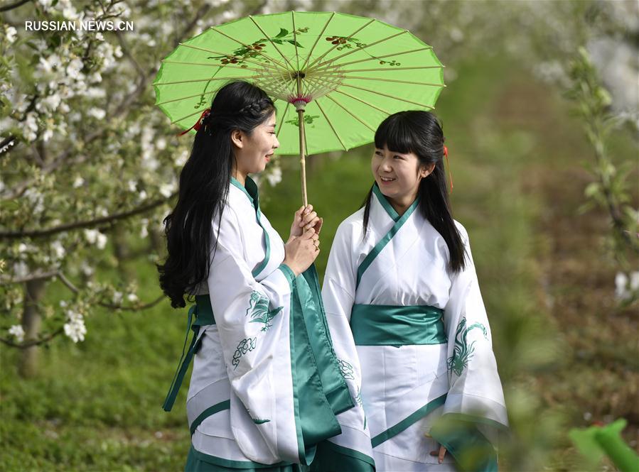 Традиционные наряды среди цветущих фруктовых деревьев в провинции Ганьсу