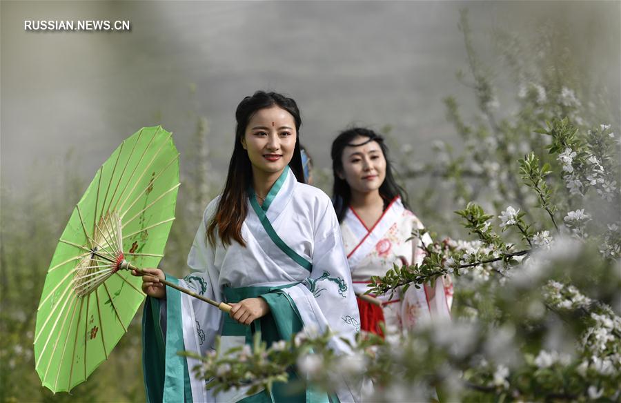 Традиционные наряды среди цветущих фруктовых деревьев в провинции Ганьсу