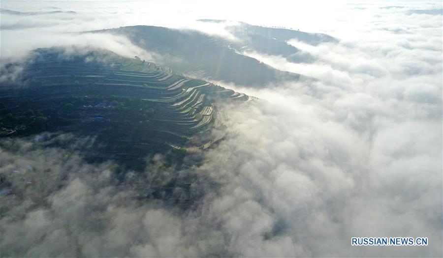 Террасные поля выше облаков в провинции Ганьсу