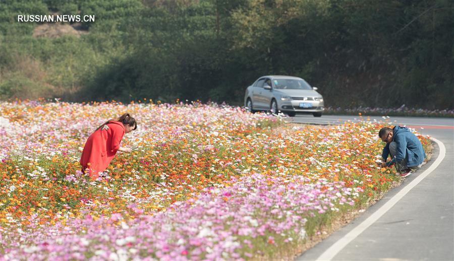 Строительство "красивых деревень" улучшило жизнь 380 тыс сельских жителей уезда Аньцзи