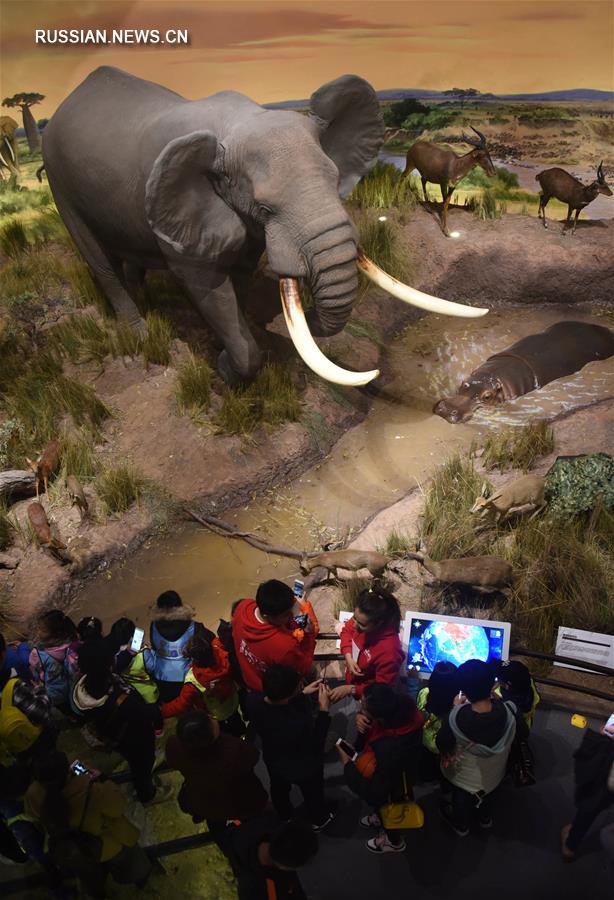 В Восточном Китае открылся Музей естественной истории Беринга 