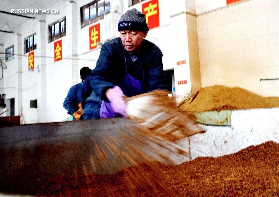 Производство лечебного вина из ветреницы в уезде Юаньцюй
