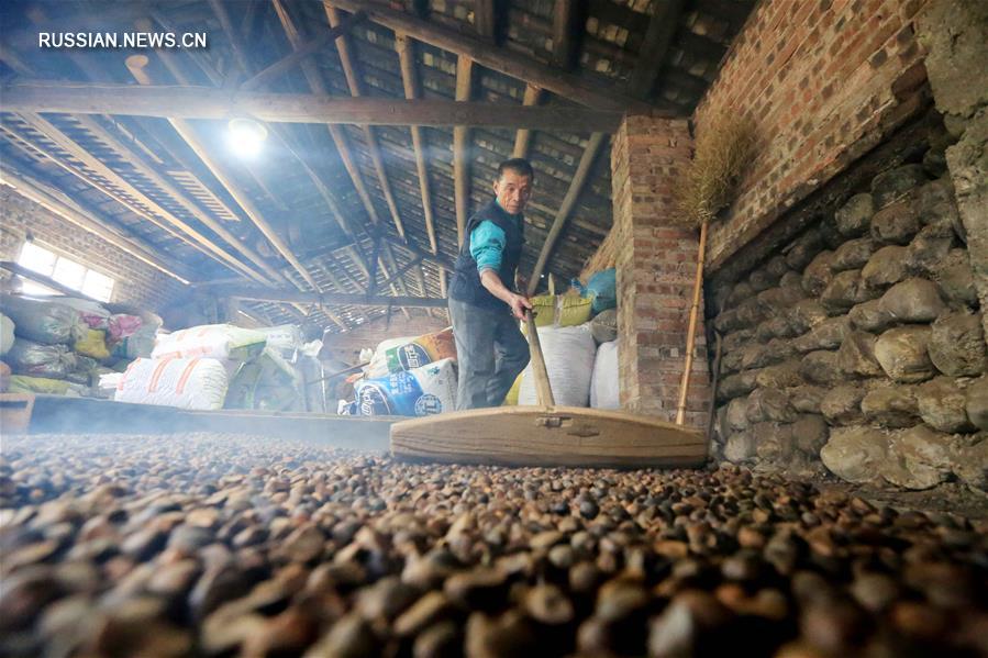 Производство камелиевого масла по древнейшей технологии в деревне Шаньвэй