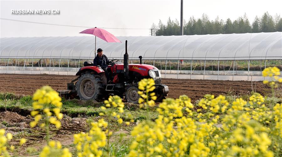 На полях Китая в разгаре весенние сельхозработы