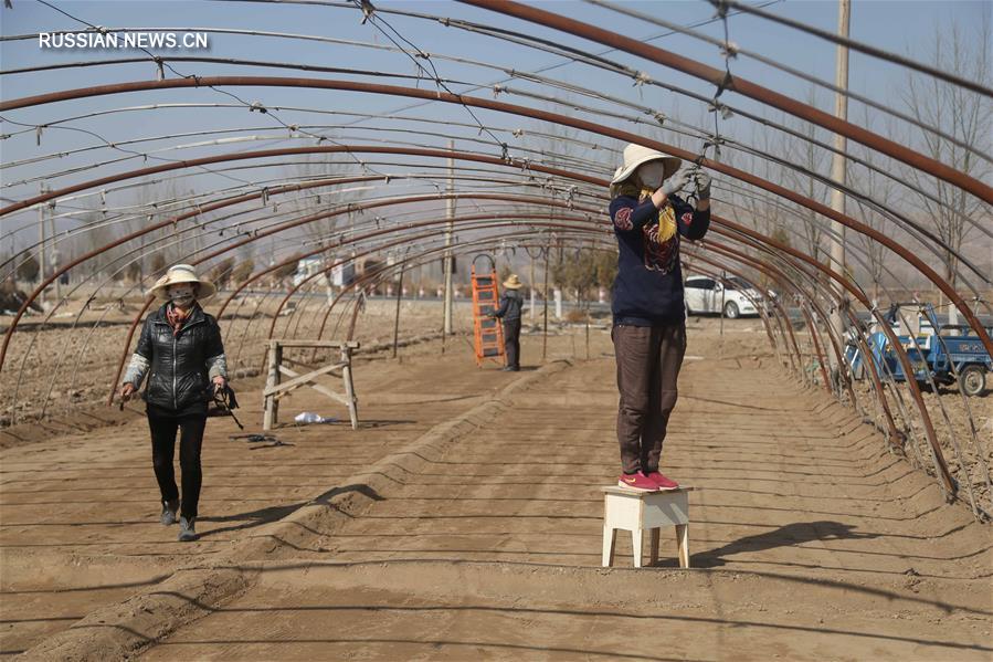 На полях Китая в разгаре весенние сельхозработы