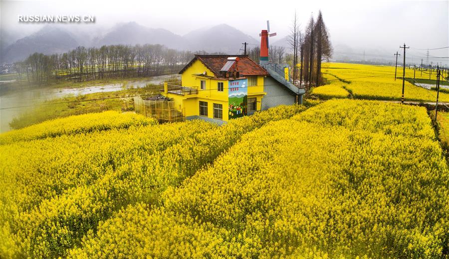 Зеленая весна в уезде Мяньсянь
