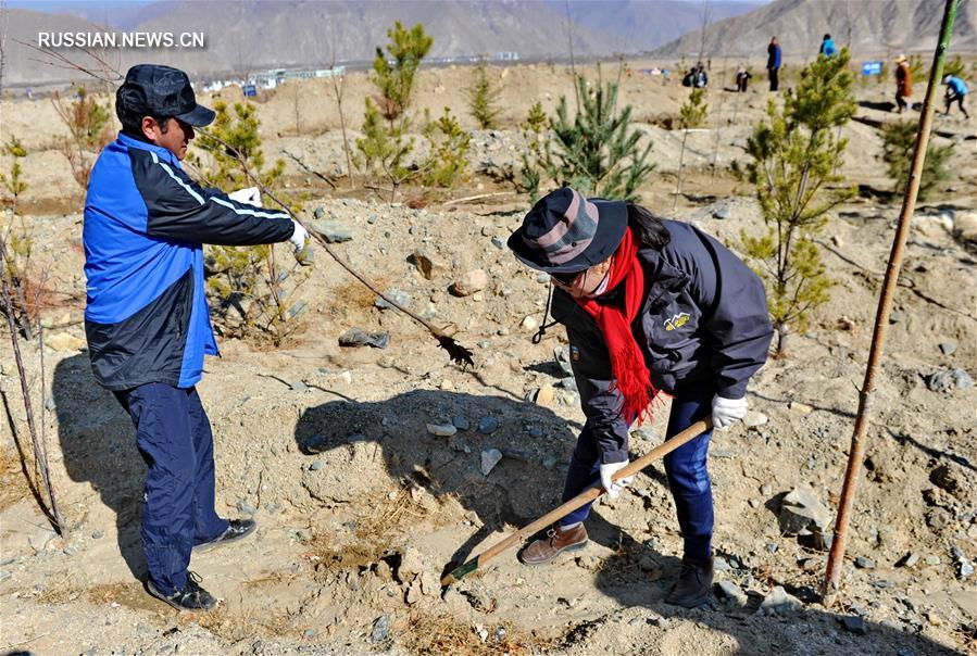 Тибетский АР запустил масштабный план по озеленению государственных земель