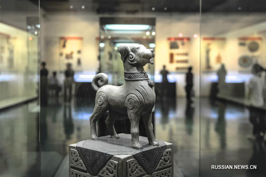 Яркие впечатления праздничных дней