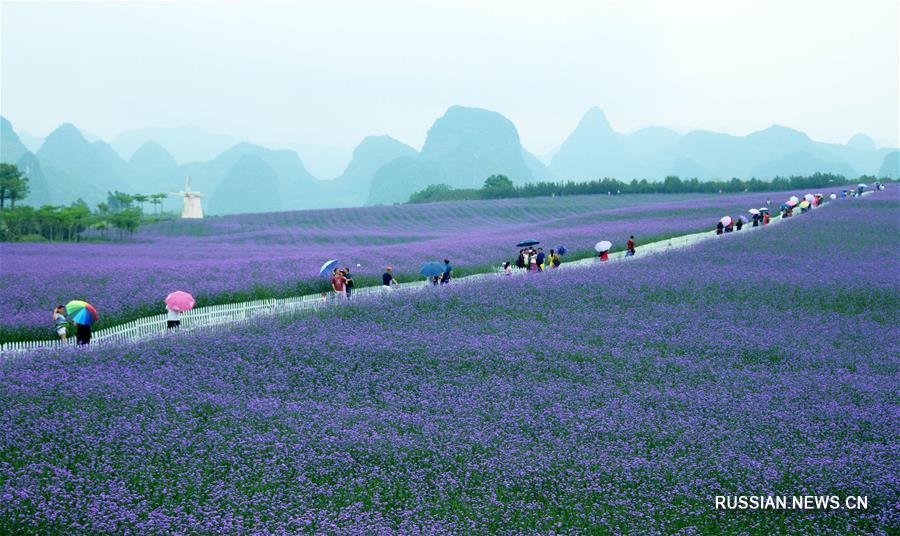 Яркие впечатления праздничных дней