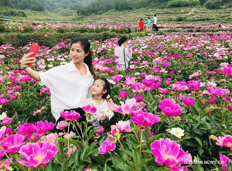 Яркие впечатления праздничных дней