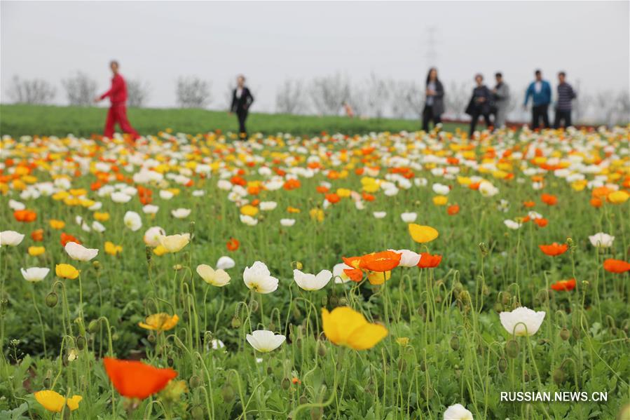 Яркие впечатления праздничных дней