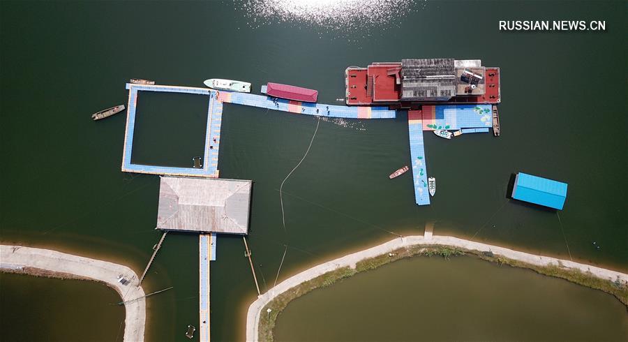 Заповедник бесперых морских свиней на реке Янцзы на востоке Китая