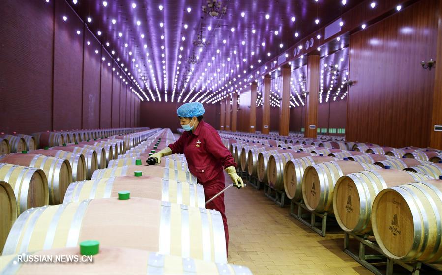 Винодельческая промышленность стала "визитной карточкой" Нинся