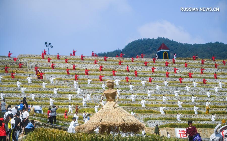 Коллективное занятие более 2000 любителей тайцзицюань в провинции Чжэцзян