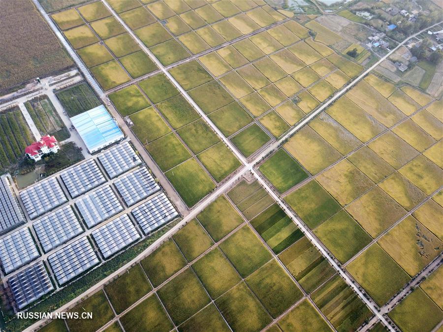 Деревня Сяоган в провинции Аньхой -- колыбель реформы в сельском хозяйстве КНР