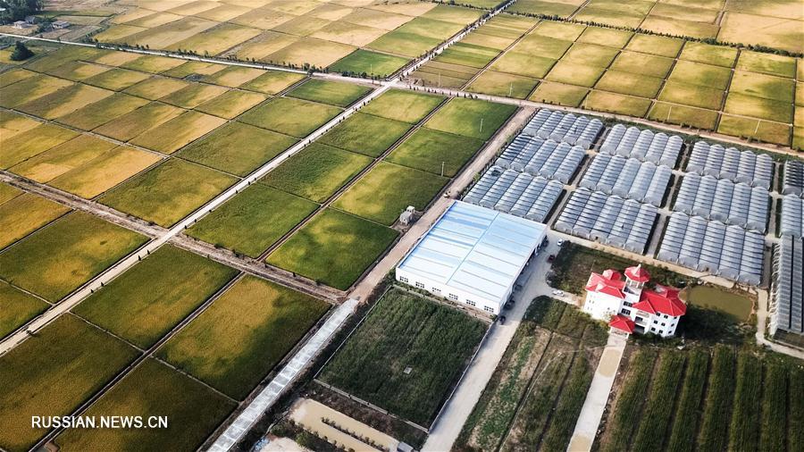 Деревня Сяоган в провинции Аньхой -- колыбель реформы в сельском хозяйстве КНР