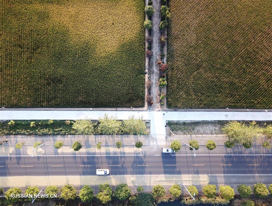 Деревня Сяоган в провинции Аньхой -- колыбель реформы в сельском хозяйстве КНР