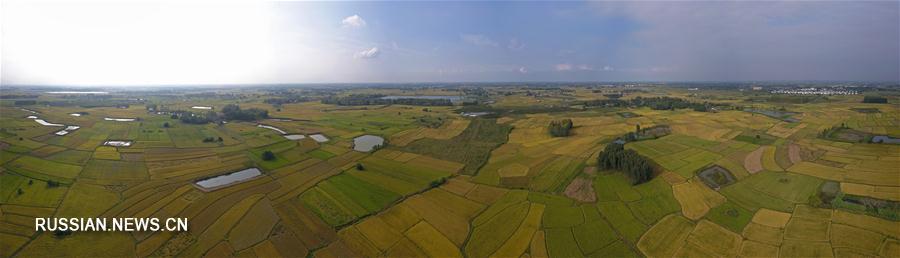 Деревня Сяоган в провинции Аньхой -- колыбель реформы в сельском хозяйстве КНР